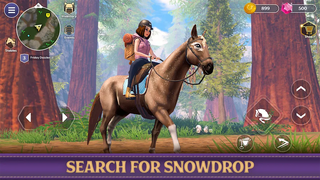 Star Equestrian - Horse Ranch (Стар Иквестриан)  [МОД Бесконечные деньги] Screenshot 3