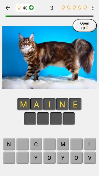 Cats Quiz Guess Popular Breeds  [МОД Menu] Screenshot 1