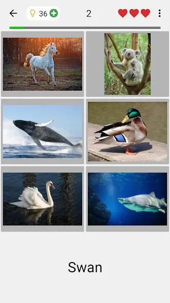 Guess Pictures and Words Quiz  [МОД Много монет] Screenshot 2