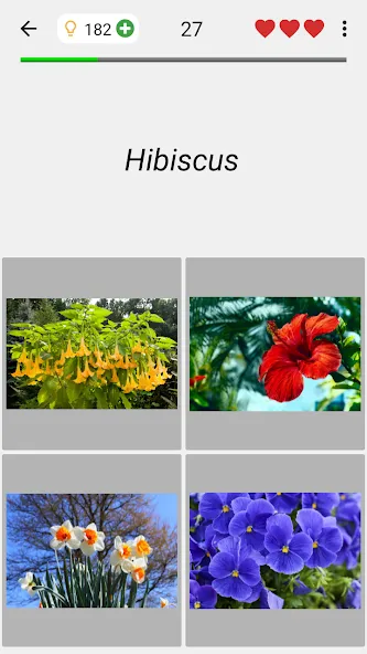 Flowers Quiz - Identify Plants  [МОД Бесконечные деньги] Screenshot 4