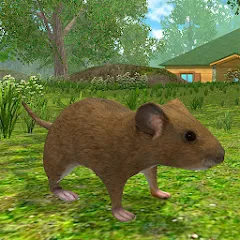 Взломанная Mouse Simulator :  Forest Home  [МОД Бесконечные монеты] - стабильная версия apk на Андроид