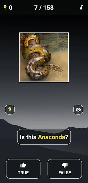 Animal Quiz: Guess the Animal  [МОД Menu] Screenshot 3