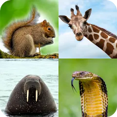 Взлом Animal Quiz: Guess the Animal  [МОД Menu] - последняя версия apk на Андроид