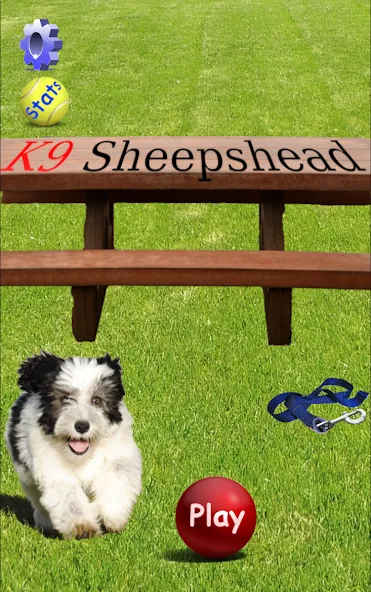 K9 Sheepshead (Schafkopf) (Шипсхед)  [МОД Mega Pack] Screenshot 1