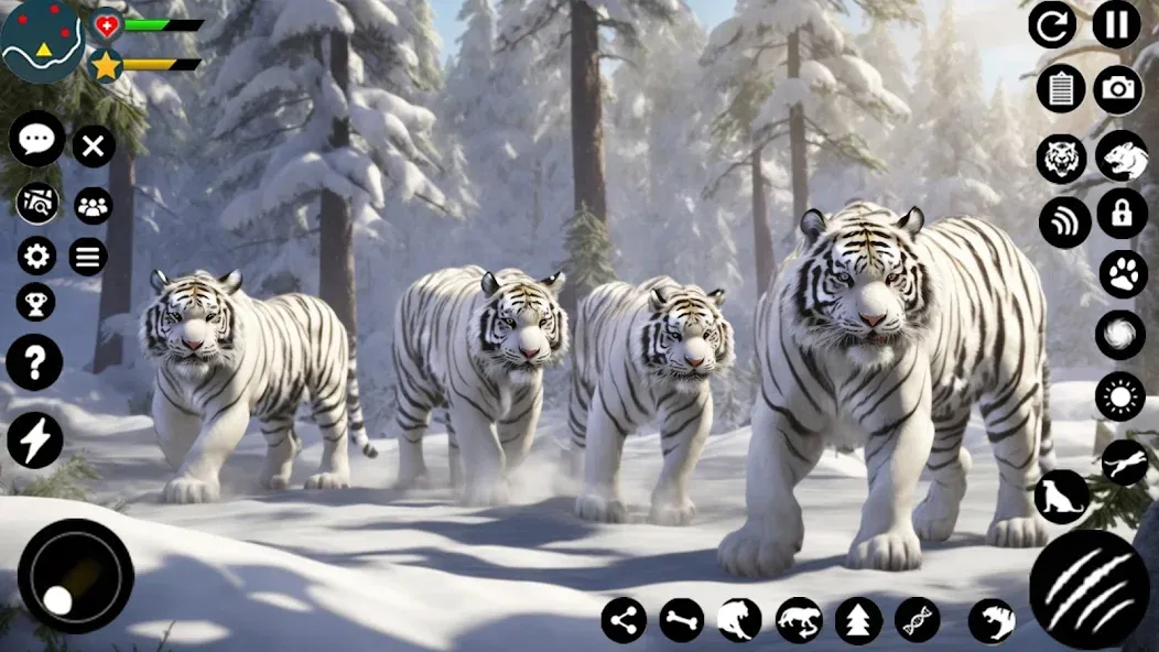 Arctic White Tiger Family Sim  [МОД Много монет] Screenshot 4