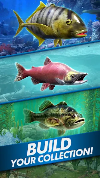 Ultimate Fishing! Fish Game  [МОД Бесконечные монеты] Screenshot 5