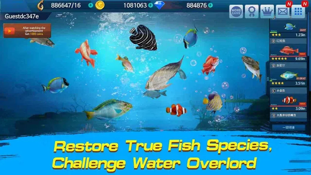 Fishing Championship  [МОД Много монет] Screenshot 2