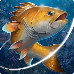 Взлом Fishing Hook  [МОД Unlimited Money] - стабильная версия apk на Андроид