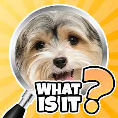 Скачать взлом What is it? Pics Trivia Quiz  [МОД Mega Pack] - полная версия apk на Андроид