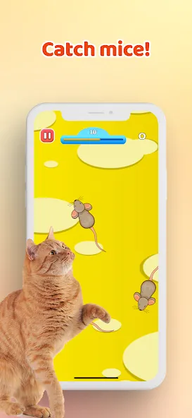 Games for Cat－Toy Mouse & Fish  [МОД Unlocked] Screenshot 1