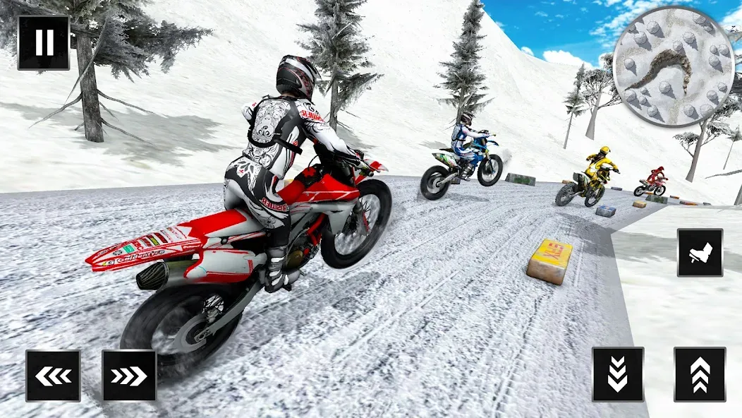 Motocross Dirt Bike Champions (Мотокросс Чемпионы Грязевых Мотоциклов)  [МОД Много денег] Screenshot 3