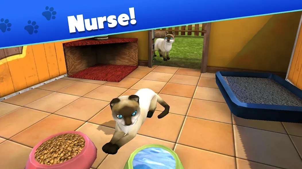 Pet World - My Animal Shelter (Пет Ворлд)  [МОД Бесконечные деньги] Screenshot 3