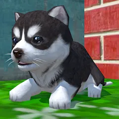 Взлом Cute Pocket Puppy 3D (Сьют Покет Паппи 3Д)  [МОД Mega Pack] - полная версия apk на Андроид