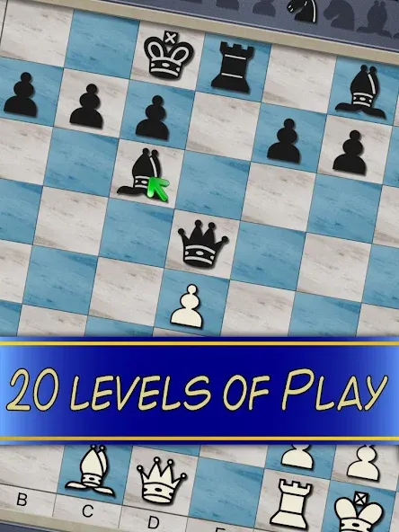 Chess V+ - board game of kings  [МОД Unlocked] Screenshot 5