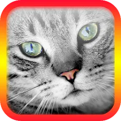 Скачать взломанную Translator for Cats Prank  [МОД Много денег] - последняя версия apk на Андроид